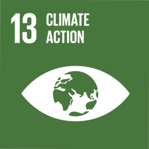 E_SDG_goals_icons-individual-rgb-13-768x768